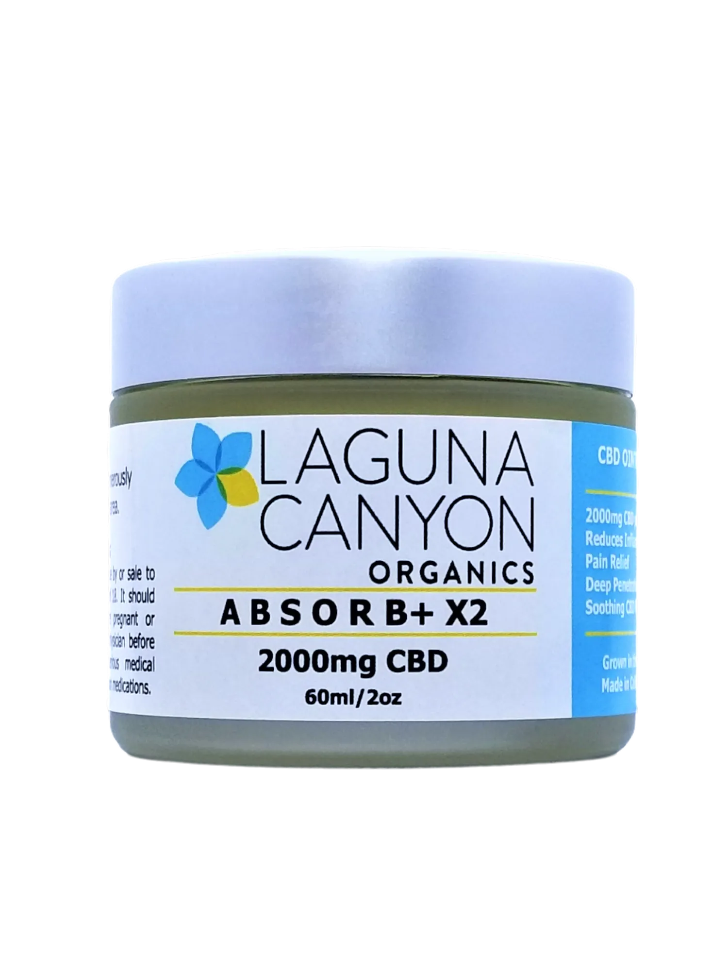 ABSORB  X2 - 2,000mg CBD Oil Topical Ointment