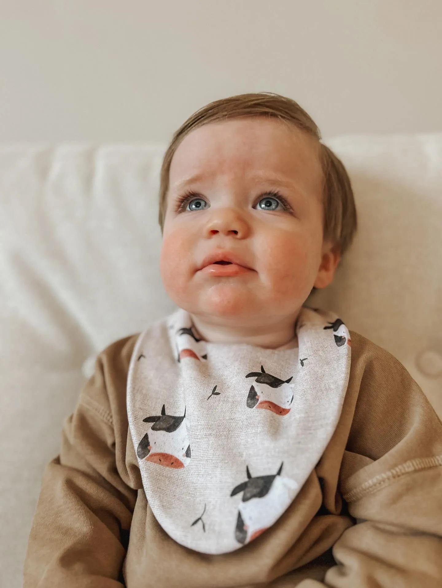 Cow Waterproof Dribble Bib
