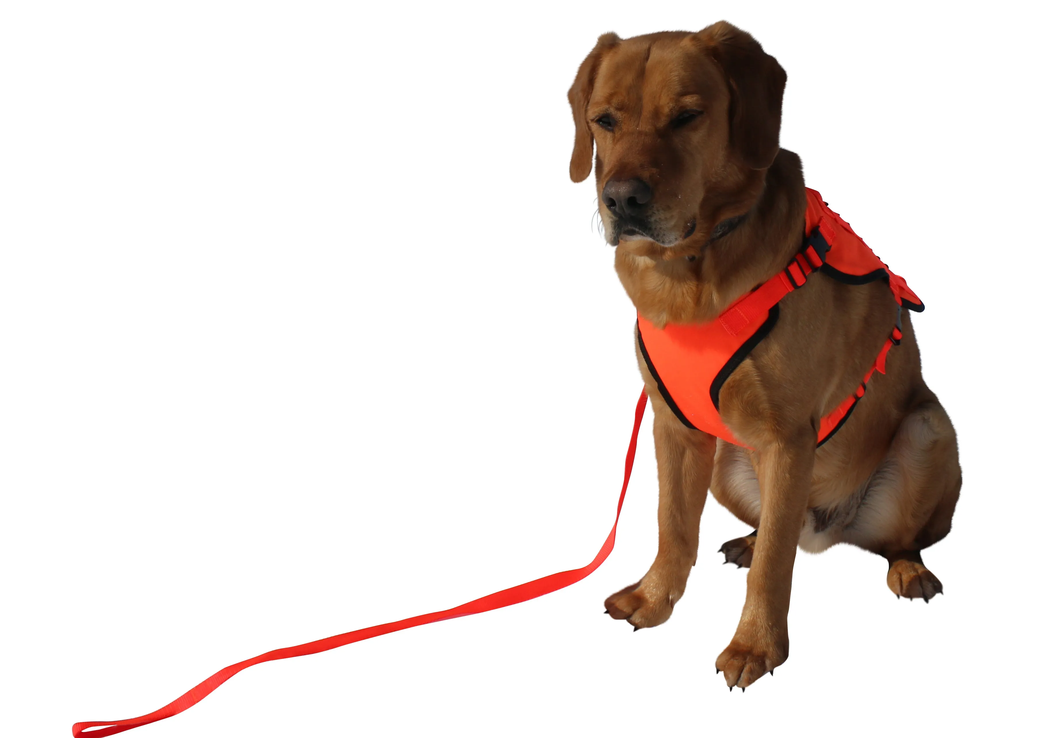 Duty Apparel Hi Vis Dog Vest