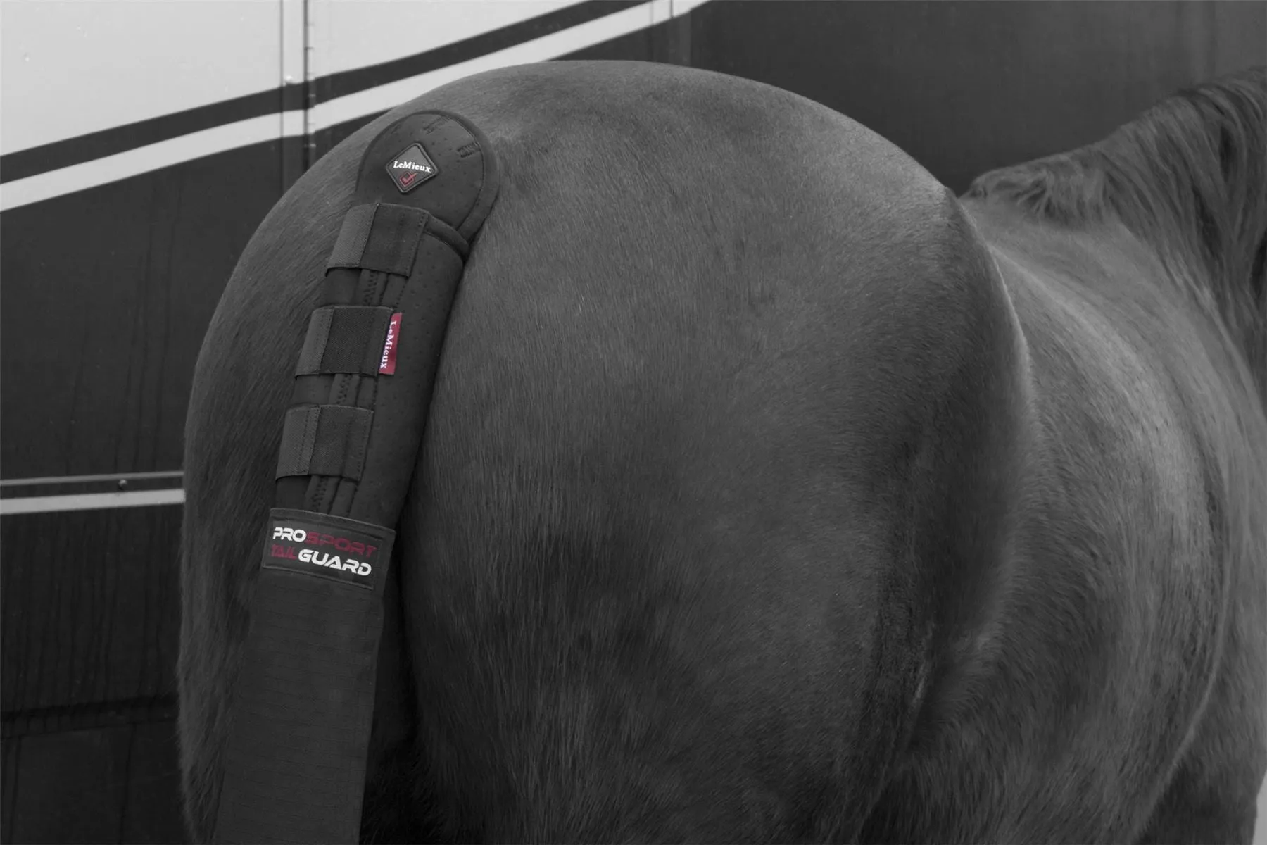 LeMieux Tail Guard with Bag