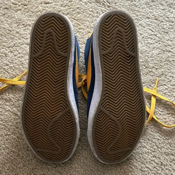 Nike zoom air