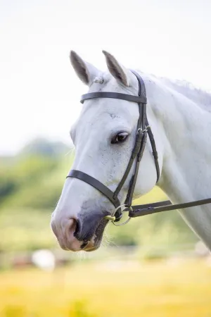 Shires Velociti RAPIDA Hunter Cavesson Bridle